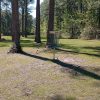 Disc Golf in Gautier at the Park