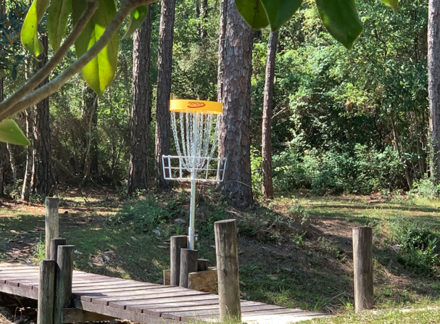 disk_golf_day_passes_gautier_mississippi_small
