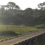 City_of_Gautier_conceptual_design_Shepard_State_Park_Boardwalk_1