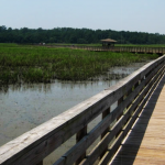 City_of_Gautier_conceptual_design_Shepard_State_Park_Boardwalk_2