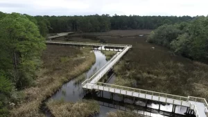 Marshwalk at Shepard State Park in Gautier, Mississippi's longest